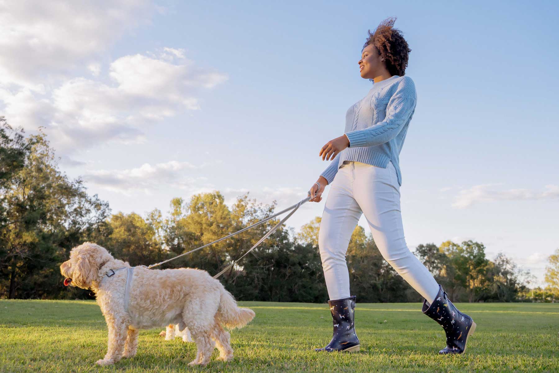 Wellies fleece on sale lined dog boots